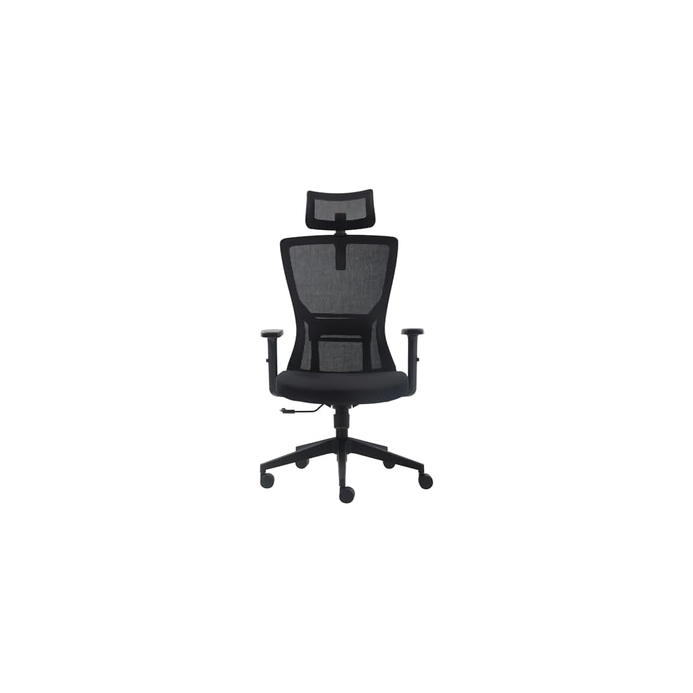 FCD Ergonomic Office Chair Mesh High Back Home Office Desk Chairs with Adjustable Headrest, Lumbar Support, Seat Height, Armrests, Tilted Back Support and Swivel Rolling Casters, Black