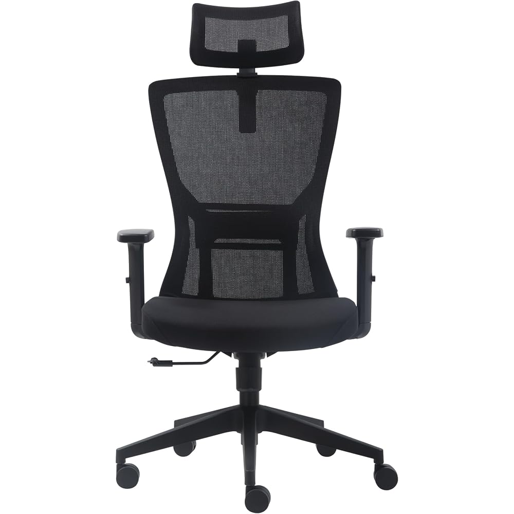 FCD Ergonomic Office Chair Mesh High Back Home Office Desk Chairs with Adjustable Headrest, Lumbar Support, Seat Height, Armrests, Tilted Back Support and Swivel Rolling Casters, Black