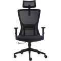 FCD Ergonomic Office Chair Mesh High Back Home Office Desk Chairs with Adjustable Headrest, Lumbar Support, Seat Height, Armrests, Tilted Back Support and Swivel Rolling Casters, Black